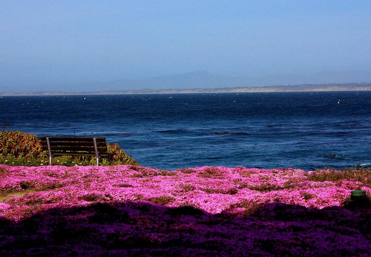 躺在铁轨上的诗人