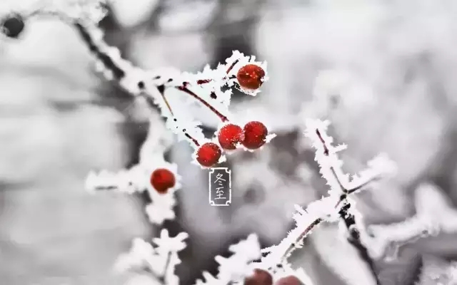 ն