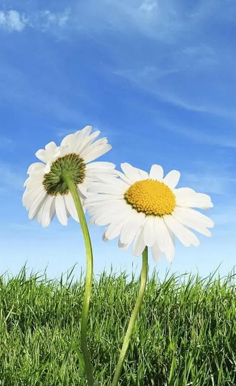 ֮