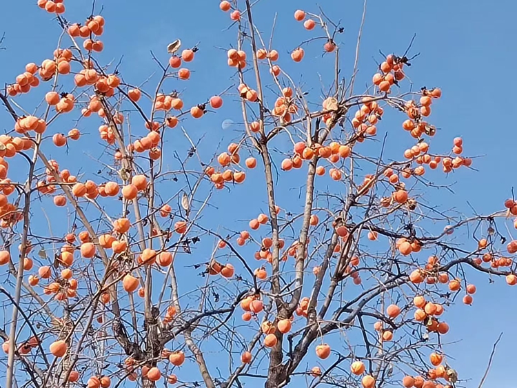 ������д