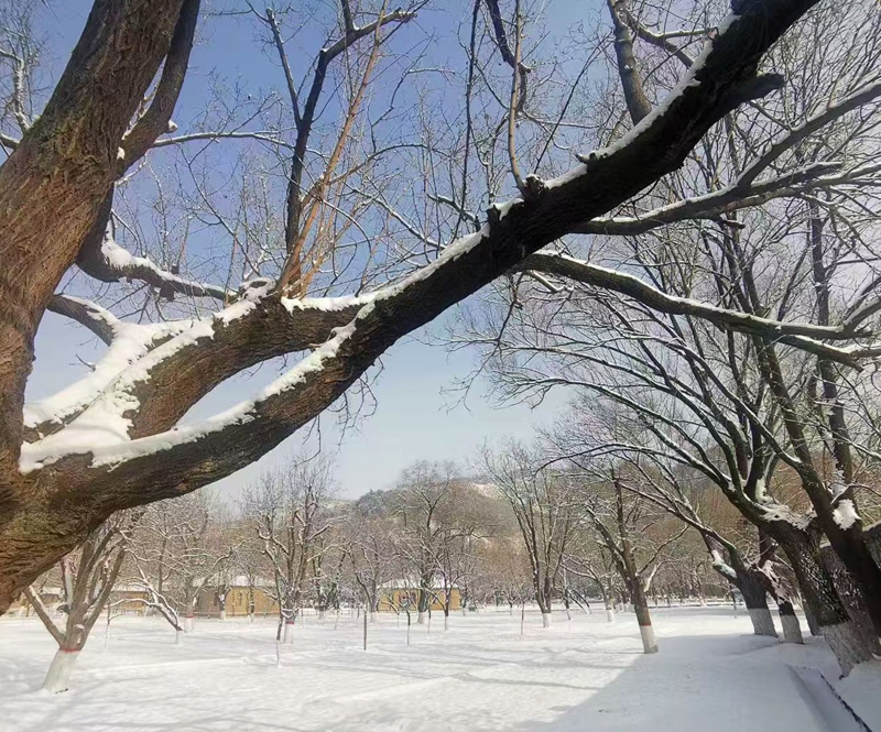 ѩ����԰�л���