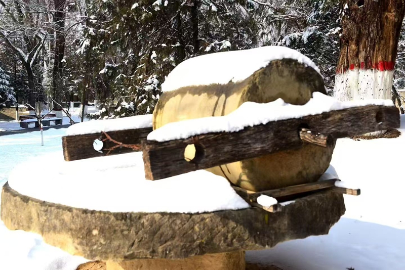 ѩ����԰�л���