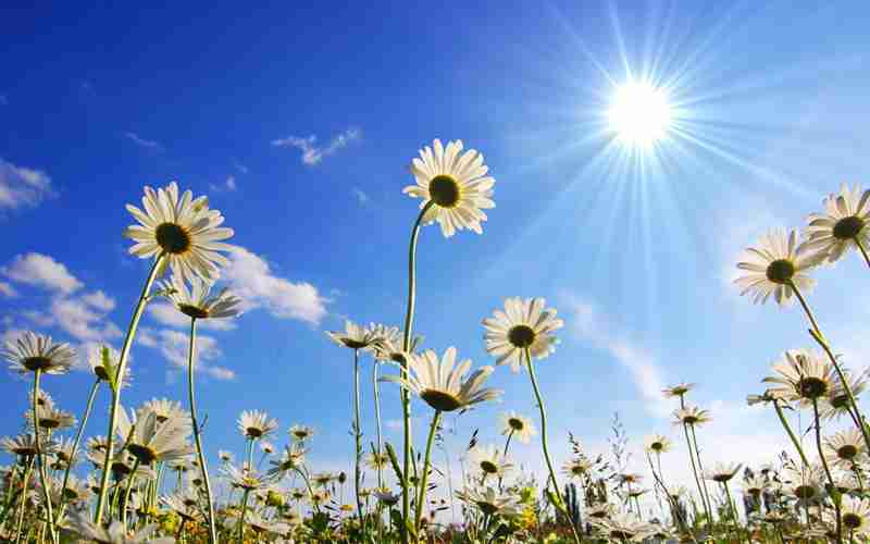 ������ʼ