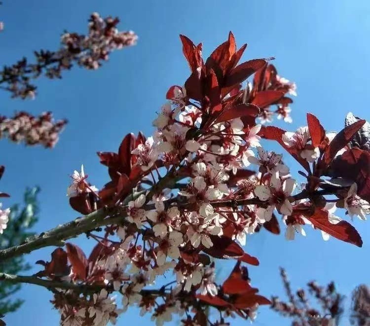 �˼�����������