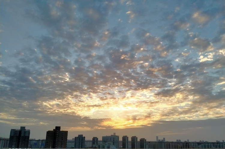 ѡ���ʺ��Լ���