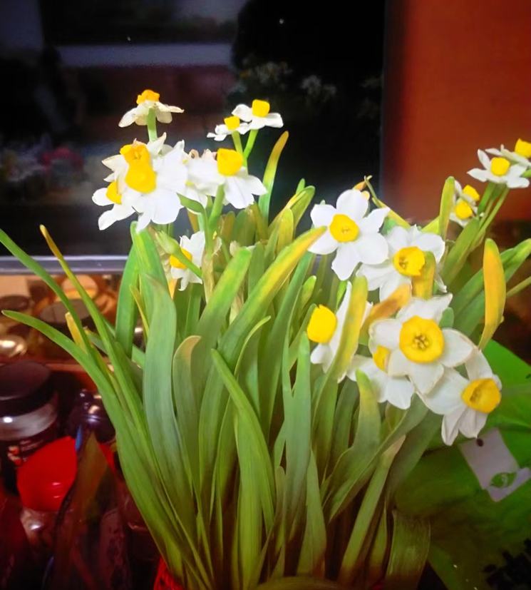 ���õ�һ��