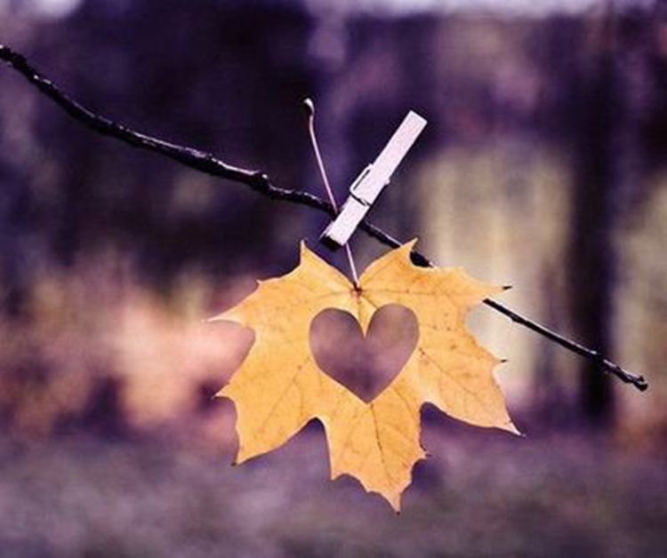 ׷����ά����ʦ