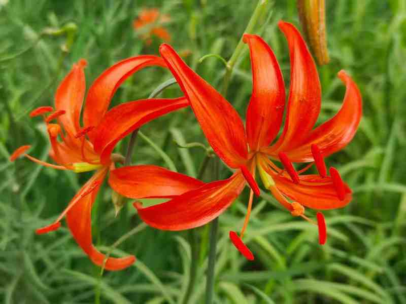 黄土高原行记(组诗) 黄土高原行记(组诗)