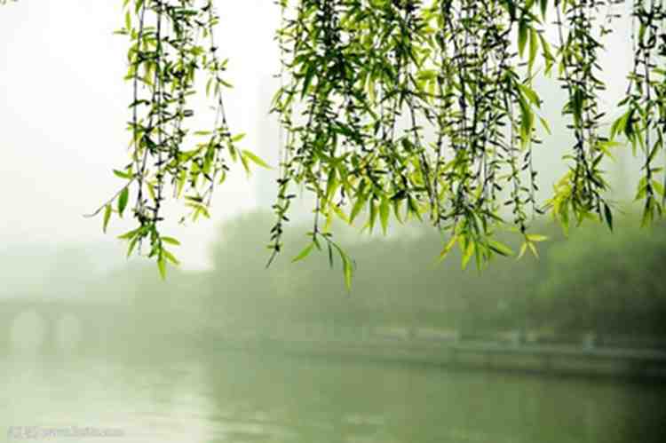 ���»�Ů��