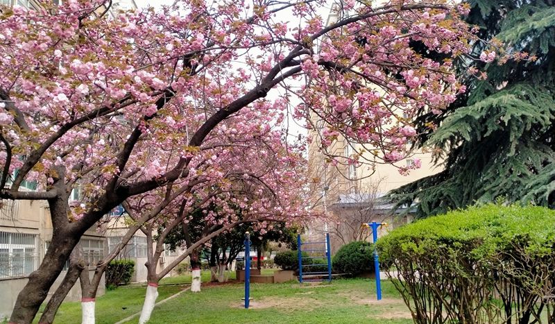 ӣ������