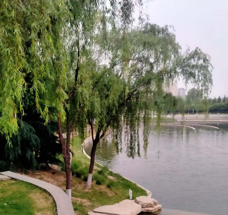 ������������̤��