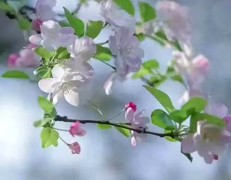 ����֮��