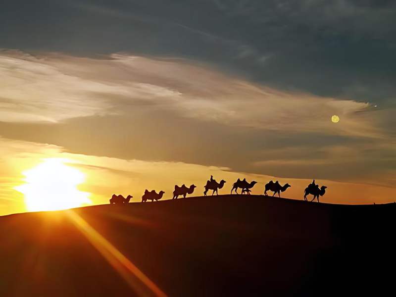 ���ӣ����ҪȥԶ��